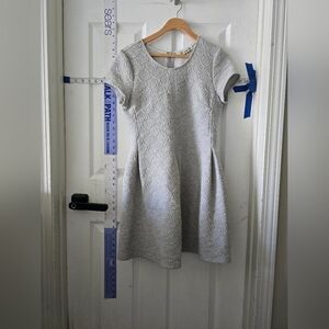 Elegant Gray Womens Skater Dress